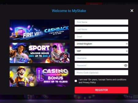 Mystake Login Guide