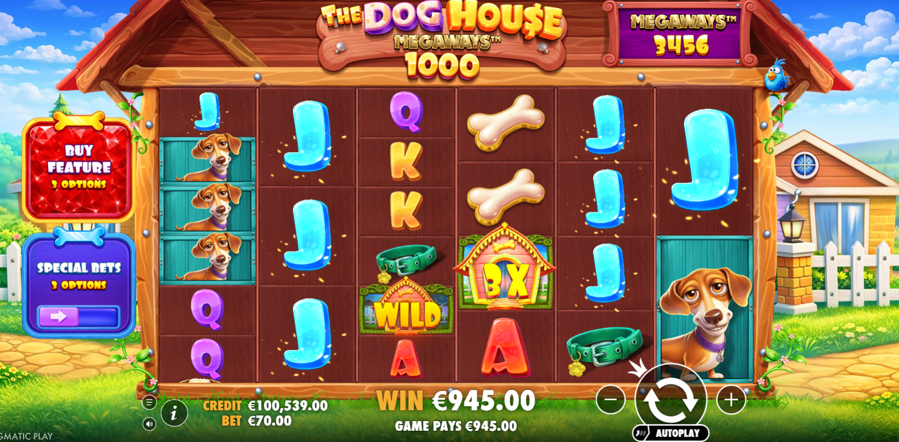 The Dog House Megaways 1000 - Best Slot Games | BetCity The Dog House Megaways 1000 - Best Slot Games